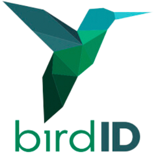 BirdID (1)
